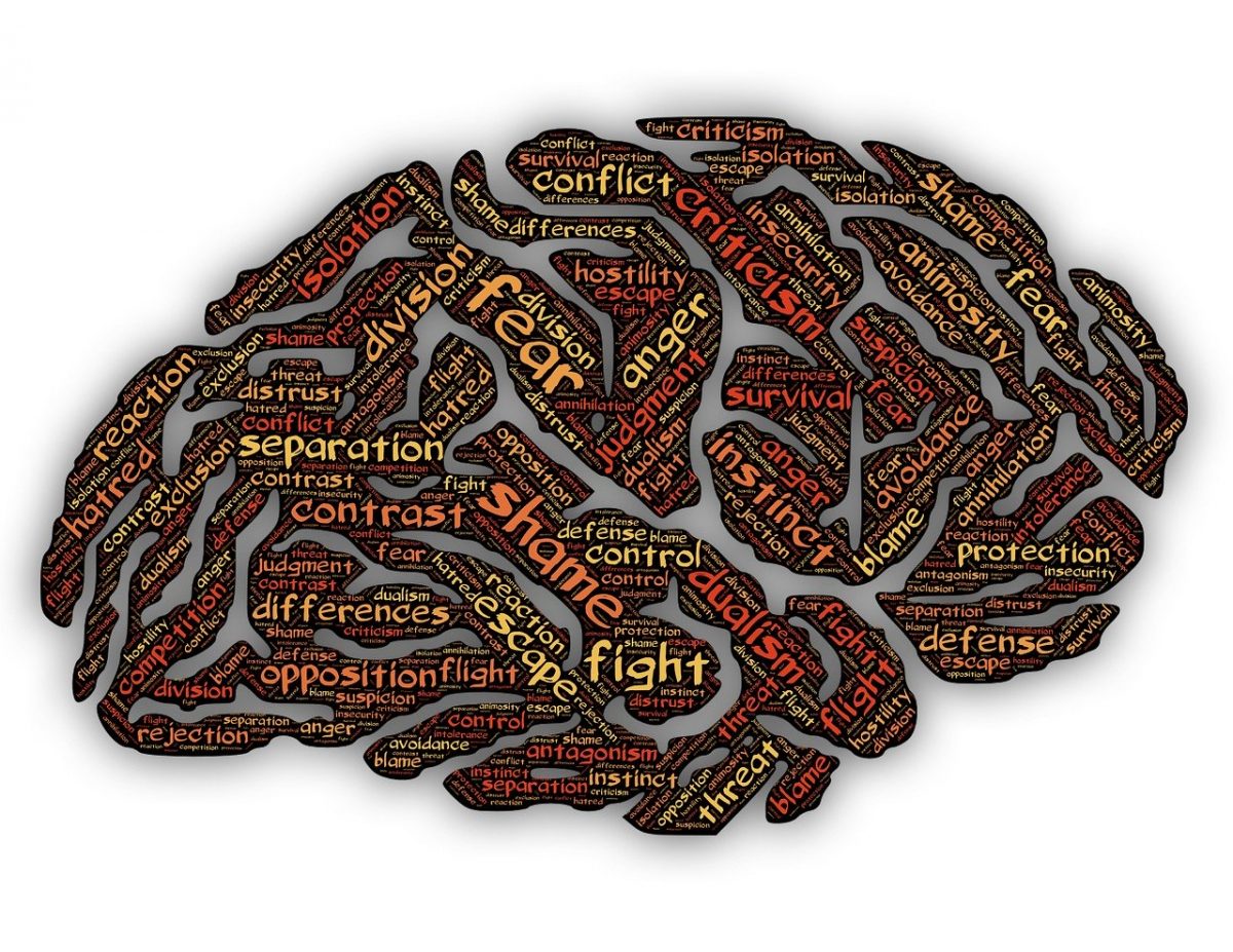 The mind