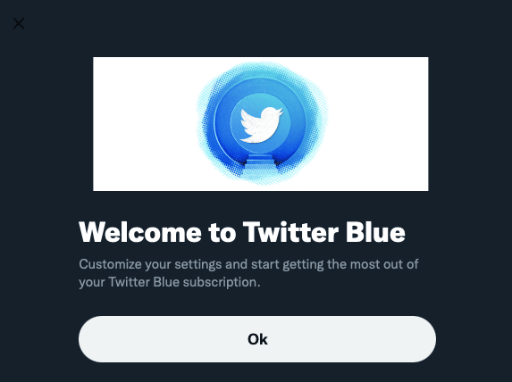 Twitter Blue subscriber